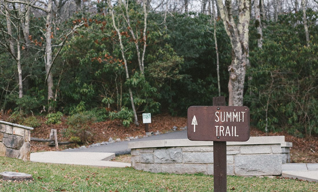 Brasstown Bald The Highest Point in